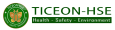 TICEON-HSE LLP